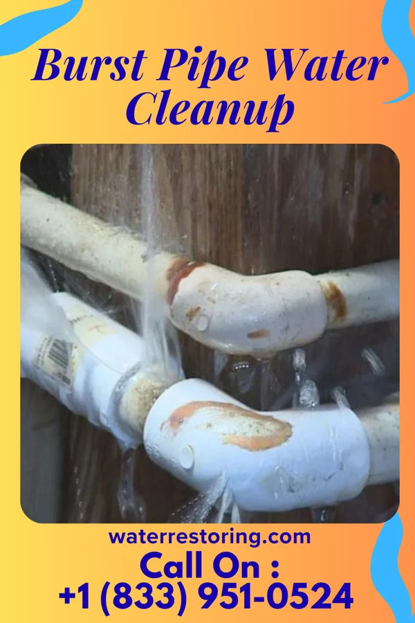 Burst Pipe Water Cleanup in Greenville, KY