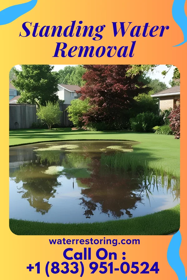 Standing Water Removal in Greenville, KY